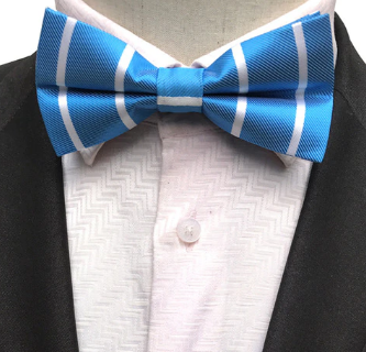 Silk Bow Tie