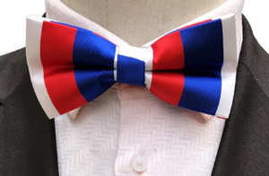 Silk Bow Tie