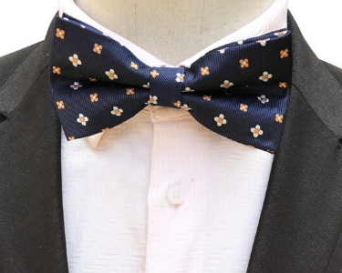 Silk Bow Tie