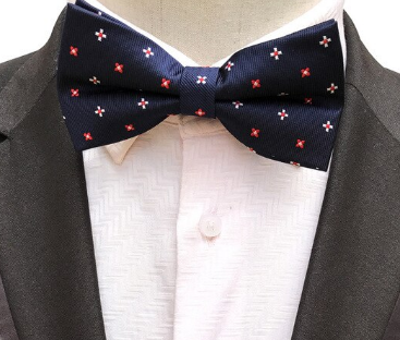 Silk Bow Tie