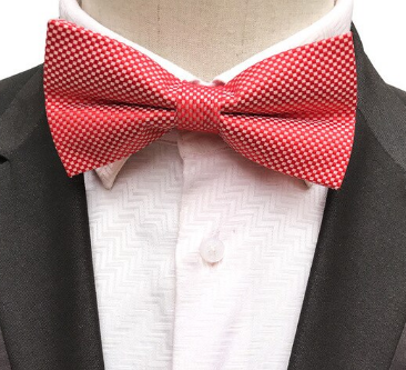 Silk Bow Tie