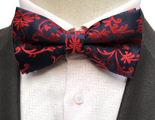 Silk Bow Tie