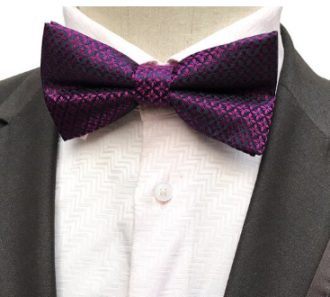 Silk Bow Tie